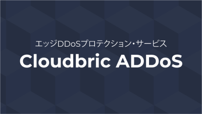 【大規模DDoS攻撃を徹底防御「Cloudbric ADDoS」】の媒体資料