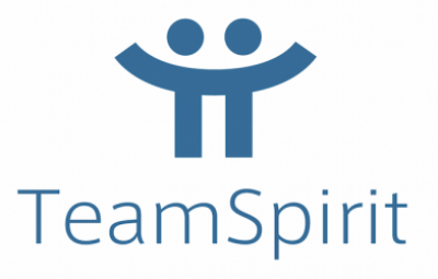TeamSprit（チームスピリット）の媒体資料