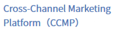 Cross-Channel Marketing Platform（CCMP）の媒体資料